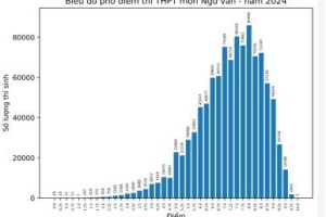 Phổ điểm môn Văn 2024 thi tốt nghiệp THPT